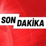 Fenerbahçe'den Marco Asensio açıklaması! Ameliyat kararı... - Fanatik Gazetesi Fenerbahçe (FB) Haberleri Spor